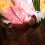 いかの墨 - 天然鰤