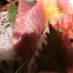 いかの墨 - みなみ鮪