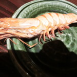 いかの墨 - お通し