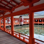 宮島グランドホテル 有もと - 朝食前の散策。人がいなくて神聖な空気。宮島ステイならでは。