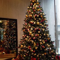 中国料理 四川 - クリスマスツリー