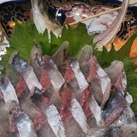 稚加榮 本店 - 鯵の活き造り
