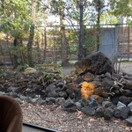 ステーキ懐石都 春日 - 