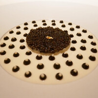 ガストロノミー ジョエル・ロブション - 