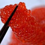 マルケイ平野 - 