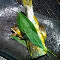 柚子屋旅館・一心居 - 鮎の一夜干し田楽 蓼の葉添え
