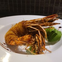 クインチチェントラーレ - 