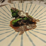 リストランテ カノフィーロ - 宮崎牛ホホ肉のブラザート