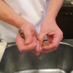 旬彩 天ぷら 心来(しんら） - 大将は、初めに 活け車海老を取り出して、わたし達の目の前で、手際よく殻を取っていきます。　　　　　2020.12.12