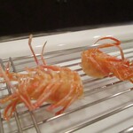 旬彩 天ぷら 心来(しんら） - くも：活け車海老の頭部がサクサクでカリッと揚げられています。 “心来” さんの天ぷらコースのスタートの定番ですネ！　　　　　2020.12.12