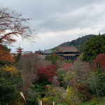 ぎをん 藤 - ☆清水寺三重塔から望む清水寺の景色は絶景である。