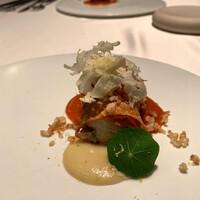 VELROSIER - 