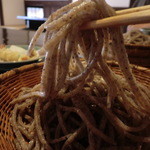 胡蝶庵 仙波 - 田舎蕎麦のような色味