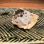 カモシヤ クスモト - 