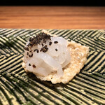 カモシヤ クスモト - 