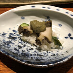 カモシヤ クスモト - 