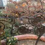 リリエンベルグ - 