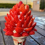 Mochikaeri Parfait Berry