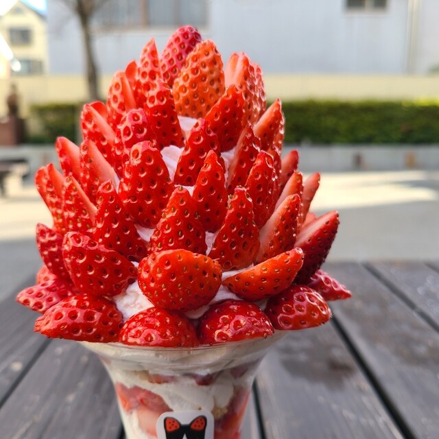 持ち帰りパフェ Berry 尾道 パフェ 食べログ 持ち帰りパフェ Berry 尾道 パフェ 食べログ