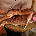 銀座 しのはら - 柴山産松葉ガニ
