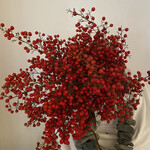 米増 - 参考写真、我が家のお正月の室礼