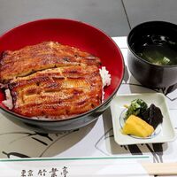東京竹葉亭 リーガロイヤルホテル店 - 鰻丼（桜）