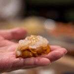 うを徳 - 2020.12 富山白海老バフンウニ