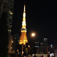 タワシタ - 