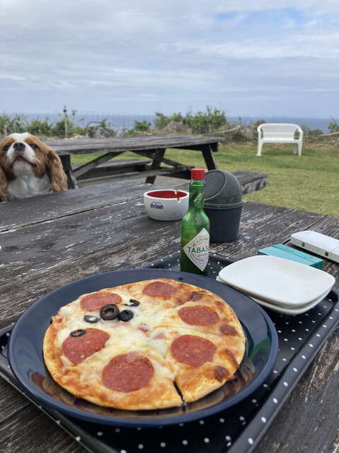 カフェ コテージ オーシャンブリーズ 今帰仁村 カフェ 食べログ カフェ コテージ オーシャンブリーズ 今帰仁村 カフェ 食べログ