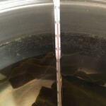 信川円 - 香深の利尻昆布は、60℃-30分で旨味成分を抽出。