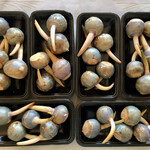 信川円 - 紀ノ国屋に用意してもらった慈姑