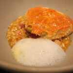 セルサルサーレ - 