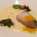 セルサルサーレ - 