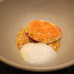 セルサルサーレ - 