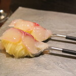 セルサルサーレ - 