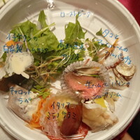 舵 - 