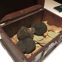 マルゴット エ バッチャーレ - 