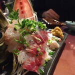 呑吉 - 料理写真:店主の釣った味が美味しい♫