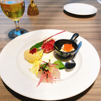 ダルマット 六本木ヒルズ店 - 