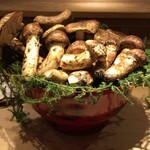 富小路 やま岸 - 