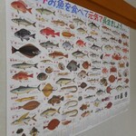 長谷 - 2020年お魚を食べて元気で長生きしよう。