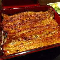 うなぎ 目白ぞろ芽 - 共水うな重