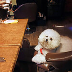 Rue Favart - ２F でゆっくり〜♬