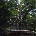 大盃型噴水が涼しげです