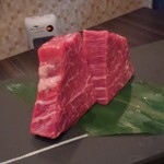 SATOブリアン - シャトーブリアン