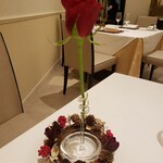 Wakana ～和奏～ - 