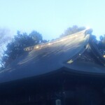 Matsunoya - 氷川神社・・の屋根。