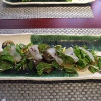 耽美 下村 - 地野菜と真鯛のカルパッチョ
