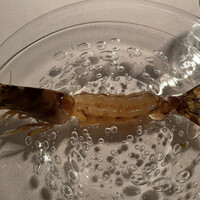 広東料理 センス - 