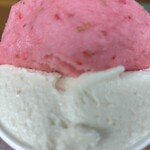 ジェラテリア アクオリーナ - 